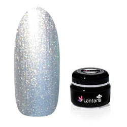 ランタナ Silver (3g)